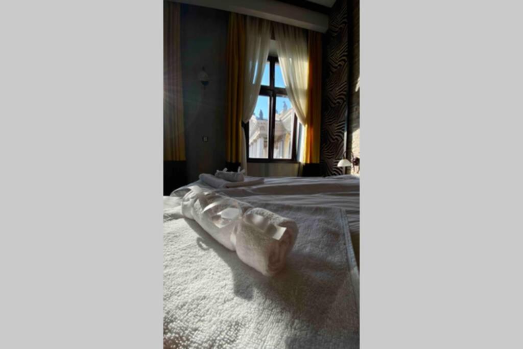Safari Royal Apartment Oradea Eksteriør billede